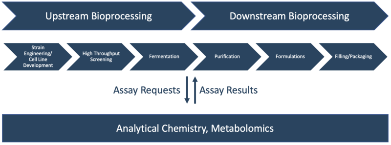 A diagram displaying upstream bioprocessing and downstream bioprocessing