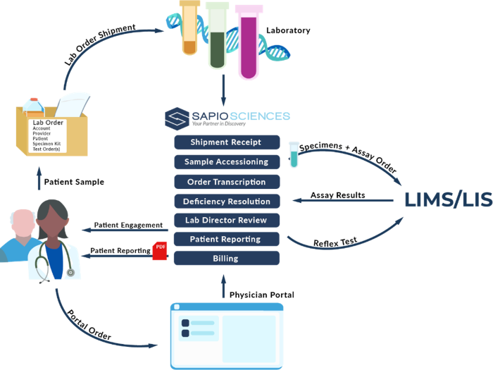 An illustration of how clinical lab management software helps the workflow and efficiency for everyone involved.